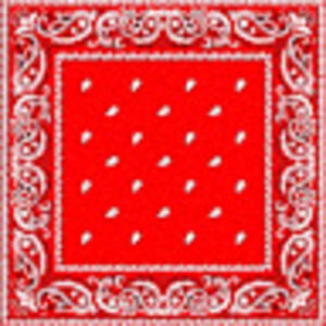 Meet your Posher, Kaden